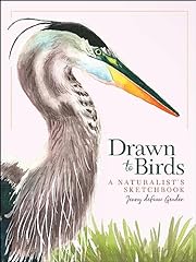 Drawn birds naturalist for sale  Delivered anywhere in USA 