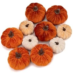 Briful fall pumpkins for sale  Delivered anywhere in USA 