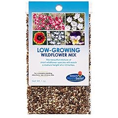 Low growing wildflower for sale  Delivered anywhere in USA 