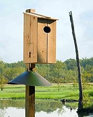 Cypress wood duck for sale  Delivered anywhere in USA 