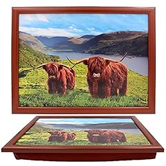 Highland bull cows for sale  Delivered anywhere in UK