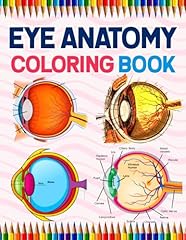 Eye anatomy coloring for sale  Delivered anywhere in USA 