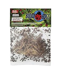 Buddy bugs 1500 for sale  Delivered anywhere in USA 