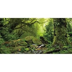 Awert tropical forest for sale  Delivered anywhere in USA 
