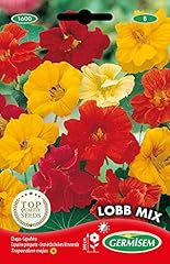 Germisem lobb mix d'occasion  Livré partout en France
