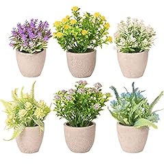 Lueur set potted for sale  Delivered anywhere in USA 