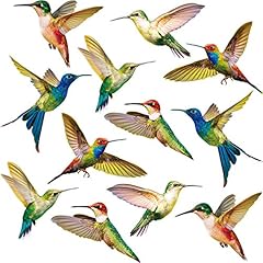 Blulu kolibri fenster gebraucht kaufen  Wird an jeden Ort in Deutschland
