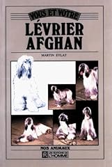 Lévrier afghan d'occasion  Livré partout en France