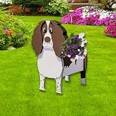 Strolfay english springer for sale  Delivered anywhere in USA 