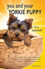 Yorkie puppy nutshell for sale  Delivered anywhere in USA 