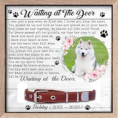 Nestura dog collar for sale  Delivered anywhere in USA 