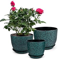 Tmbmlpp pcs plant for sale  Delivered anywhere in UK
