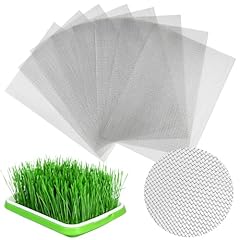 Hfyzz pcs seed for sale  Delivered anywhere in USA 