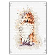 Akxstitch sheltie cross for sale  Delivered anywhere in UK