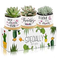 3pcs gifts mom for sale  Delivered anywhere in USA 