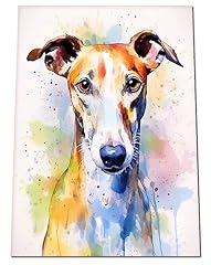 Greyhound watercolour art for sale  Delivered anywhere in UK
