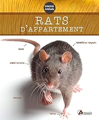 Rats appartement d'occasion  Livré partout en Belgiqu