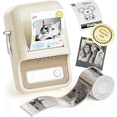 Niimbot etiqueteuse b21 d'occasion  Livré partout en France