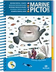 Caribbean marine pictolife d'occasion  Livré partout en France