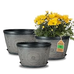 Quarut inch flower for sale  Delivered anywhere in USA 