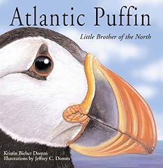 Atlantic puffin little d'occasion  Livré partout en Belgiqu