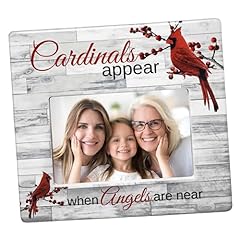 Banberry designs cardinals for sale  Delivered anywhere in USA 
