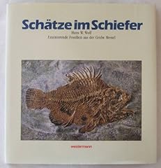 Schätze schiefer faszinierend gebraucht kaufen  Wird an jeden Ort in Deutschland