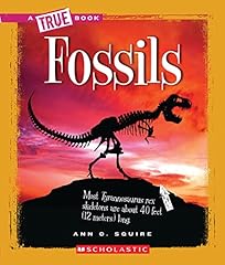 Fossils for sale  Delivered anywhere in USA 