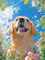 Bimkole diamond painting usato Bimkole diamond painting usato  Spedito ovunque in Italia