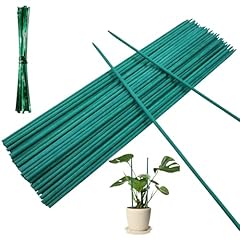 50pcs plant support for sale  Delivered anywhere in UK