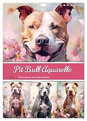 Pit bull aquarelle gebraucht kaufen  Wird an jeden Ort in Deutschland