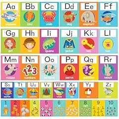 12pcs alphabet classroom for sale  Delivered anywhere in USA 