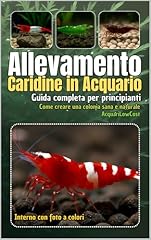 Allevamento caridine acquario usato  Spedito ovunque in Italia 