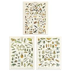 Artery8 insects bugs for sale  Delivered anywhere in UK