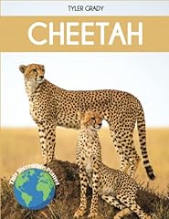 Cheetah fascinating animal for sale  Delivered anywhere in UK