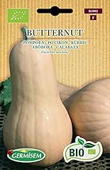 Germisem biologico butternut usato  Spedito ovunque in Italia 