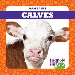 Calves for sale  Delivered anywhere in USA 