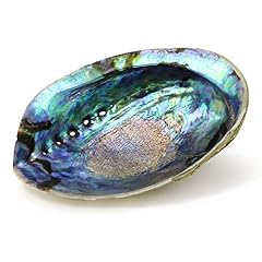 Natural abalone shell for sale  Delivered anywhere in USA 