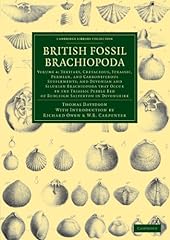 British fossil brachiopoda d'occasion  Livré partout en France