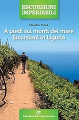 Piedi sui monti usato  Spedito ovunque in Italia 