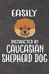 Easily distracted caucasian for sale  Delivered anywhere in UK