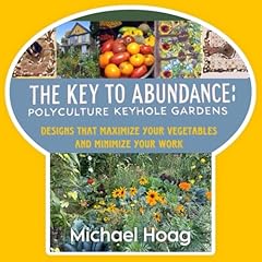 The key abundance gebraucht kaufen  Wird an jeden Ort in Deutschland