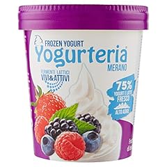 Meran yogurt frutti usato  Spedito ovunque in Italia 