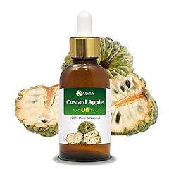 Custard apple seed for sale  Delivered anywhere in USA 