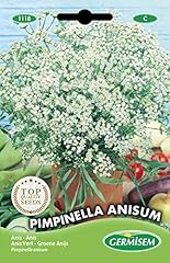 Germisem graines anis d'occasion  Livré partout en France