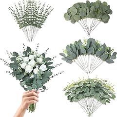 Magean eucalyptus leaves for sale  Delivered anywhere in USA 