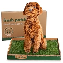 Fresh patch real for sale  Delivered anywhere in USA 