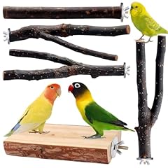 Vogelspielzeug sittichsitzstan gebraucht kaufen  Wird an jeden Ort in Deutschland