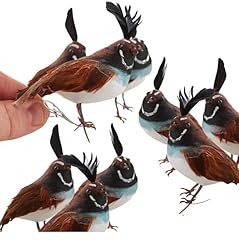 Pack feathered california for sale  Delivered anywhere in USA 