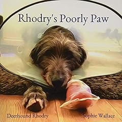 Rhodry poorly paw for sale  Delivered anywhere in UK